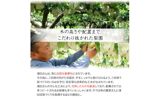 【日付指定不可】『清田果樹園』の原倉梨 《9月上旬-10月上旬頃出荷》 約5kg 6-14玉前後  あきづき 豊水梨 熊本---sg_ckiyotanashi_ad9_r7_14000_5kg--- st-p