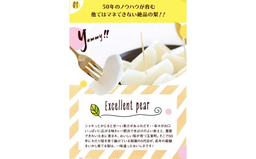 坂村梨園 玉東梨  約3kg(4～10玉前後) 梨 なし 果物 旬の梨 《8月中旬-11月上旬頃出荷》---sg_cmuranashi_g811_r7_12000_3kg---