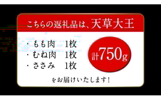 天草大王　ハーフセット 約750g【幻の地鶏】もも・むね・ささみ各1枚 熊本県産 玉東町《60日以内に出荷予定(土日祝除く)》---dg_fasohalf_60d_r7_11000_750g---
