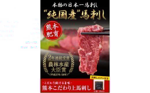 馬刺し 上赤身 ブロック 国産 熊本肥育 生食用 たれ付き(10ml×6袋) 100g×6セット 《90日以内に出荷予定(土日祝除く)》 ---gkt_fkgakm_90d_20000_600gt---