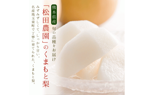 【日付指定不可】『松田農園』のくまもと梨約5kg 8-18玉前後  『松田農園』なし《7月下旬-9月末頃出荷》  果物 スイーツ---sg_cmatsunashi_cf79_r7_16000_5kg---