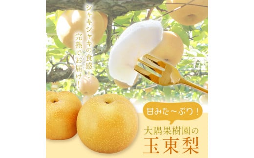 大隅果樹園の玉東梨(旬の品種をお届けします) 約5kg(13-20玉前後)   《8月中旬-9月上旬頃出荷》---sg_coosuminasi_g8_r7_13000_5kg---