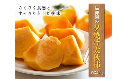 『緑伸園』の大玉 夕焼け太秋柿 《11月上旬-12月上旬頃出荷》 約2.5kg 4-7玉前後 　柿 【クール便】---sg_cryokukaki_h11_r8_13500_5kg---