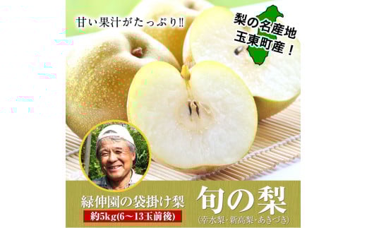 『緑伸園』旬の梨(旬の品種をお届けします！) 《8月中旬-9月下旬頃出荷》 約5kg 6-13玉前後入り 果物---sg_cryokunashi_k8_r7_14000_5kg---