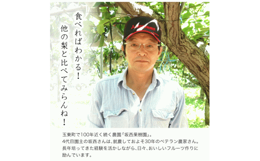 『坂西果樹園』の豊水梨 たっぷり約5kg(8-15玉前後)こだわり抜かれた栽培方法！《8月中旬-9月中旬頃出荷》  なし 豊水  ---sg_csknasi_q8_r8_14500_5kg---