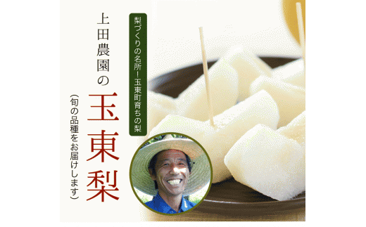 『上田農園』の玉東梨 《8月中旬-10月上旬頃出荷》 約3kg 3-10玉前後 『上田農園』なし ---sg_cuedanashi_g810_r7_12000_3kg---