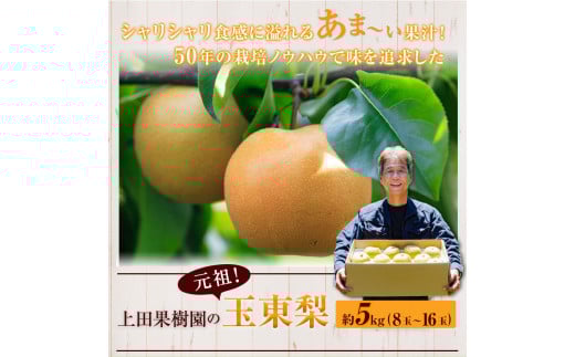 玉東梨(旬の品種をお届けします)約3kg(4玉～10玉) なし 果物上田果樹園 《7月下旬-9月下旬頃出荷》---sg_cuednasi_p79_r7_12000_3kg---