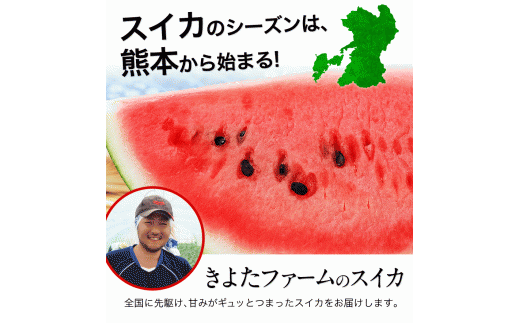 【先行予約】『きよたファーム』のすいか 1玉約8～10kg 熊本県玉名郡玉東町『きよたファーム』すいか フルーツ 《2026年5月下旬-6月下旬頃出荷》---sg_kfsuika_p5_r7_13500_1p---