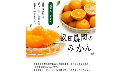 熊本県玉東町産限定『坂田農園』のみかん 大容量 約10kg(2S-Lサイズ)《10月上旬-1月末頃出荷》秋 ジャム ゼリー ---sg_sktsmk_af101_25_13500_10kg---