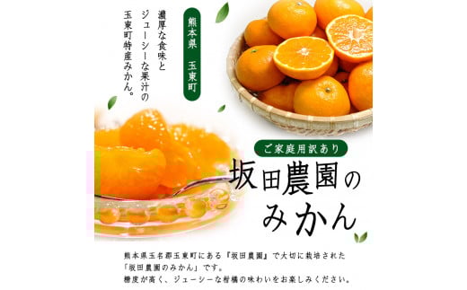 ご家庭用訳あり 『坂田農園』のご家庭用みかん 大容量 約10kg(2S-2Lサイズ)《10月上旬-1月末頃出荷》 ---sg_sktwmk_af101_25_11000_10kg---