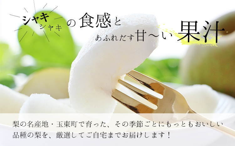 さかもと果樹園の玉東梨 甘太梨 約5kg (6玉-18玉前後) 《9月中旬-9月下旬頃出荷》【日付指定・品種指定不可】 熊本県玉名郡玉東町 梨 なし 果物 フルーツ 甘太---sg_cskknt_b9_r8_15500_5kg---