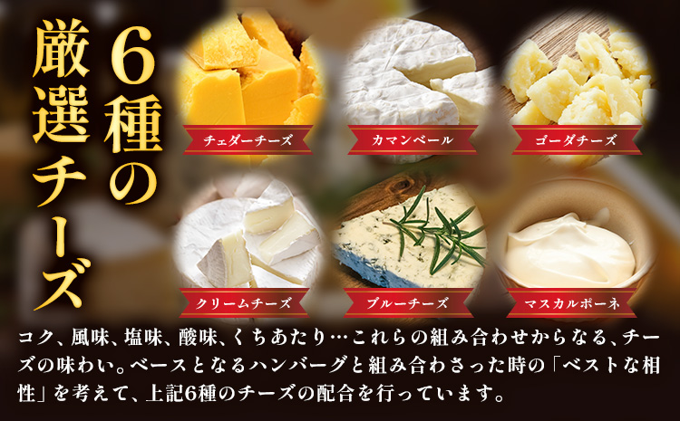 ハンバーグ チーズインハンバーグ 8個 湯せん で 温めるだけ デミグラス 《30日以内に出荷予定(土日祝除く)》 簡単 調理 惣菜 冷凍 牛 湯煎 人気 子供 こども 小分け チーズ ふるさと納税 熊本県 玉東町---gkt_ftzhng_30d_r7_8000_8p---