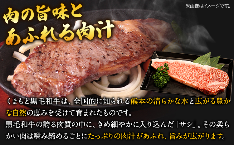 くまもと黒毛和牛 サーロインステーキ 500g (250g×2枚) 牛肉 冷凍 《30日以内に出荷予定(土日祝除く)》 くまもと黒毛和牛 黒毛和牛 冷凍庫 個別 取分け 小分け 個包装 ステーキ肉 にも サーロインステーキ---gkt_fsaro_30d_r8_16000_500g---