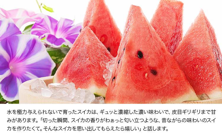 【先行予約】『きよたファーム』の黒小玉すいか2玉セット 1玉約2.5-4kg前後 『きよたファーム』《2026年7月上旬-8月中旬頃出荷》---sg_kfkodama_ae7_r7_13500_2p---