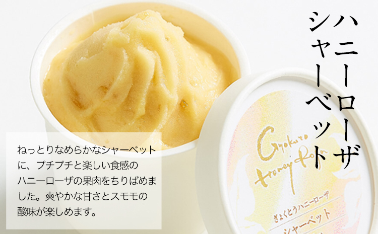 ぎょくとうセレクトアイスバラエティーセット  アイス モナカ ぷらっとぎょくとう《60日以内に出荷予定(土日祝除く)》---sg_fgkticevari_60d_26_19000---