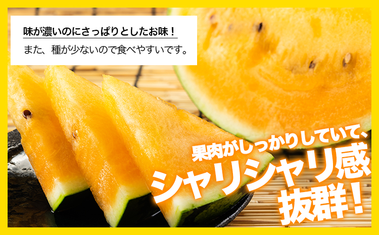 【先行予約】【日付指定不可】『きよたファーム』の黄色すいか1玉 《2026年5月上旬-7月中旬頃出荷》『きよたファーム』すいか 果物 産 黄色---sg_kfkonjiki_ae57_r7_16000_1p---