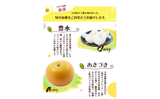 坂村梨園 玉東梨  約3kg(4～10玉前後) 梨 なし 果物 旬の梨 《8月中旬-11月上旬頃出荷》---sg_cmuranashi_g811_r7_12000_3kg---