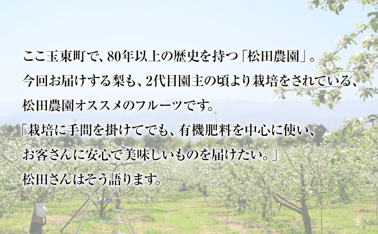 【日付指定不可】 『松田農園』の くまもと 梨 約2kg 熊本県玉名郡玉東町『松田農園』なし 《7月下旬-9月末頃出荷》---sg_cmatsunashi_cf79_r7_10000_2kg---