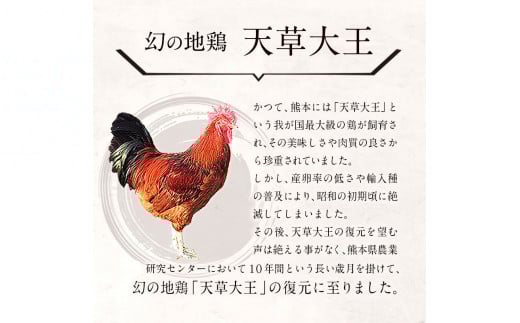天草大王 バーベキュー用カット肉 1kg 熊本県産 【幻の地鶏】玉東町 もも肉 むね肉《60日以内に出荷予定(土日祝除く)》---dg_fasodbbq_60d_r7_13000_1kg---
