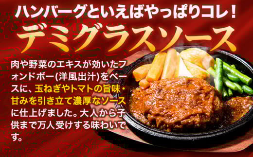 ハンバーグ 10個 国産のお肉使用！ 鶏肉不使用 温めるだけ 「通の贅沢ハンバーグ」濃厚デミグラスソース《11月上旬-11月末頃出荷》 牛 訳あり 小分け 早く届く---gkt_fuhg_ac11_r7_9500_10i_nd---
