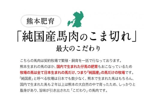 2年連続農林水産大臣賞受賞 馬肉のこま切れ400g 《30日以内に出荷予定(土日祝除く)》 【200g×2セット】タレ付き---gkt_fkgbkm_30d_r7_12000_400gt---