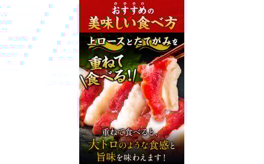 馬刺し 国産 上ロース馬刺しセット 合計400g 50g小分け《90日以内に出荷予定(土日祝除く)》 たてがみ コーネ ブロック ---gkt_fkgkszr_90d_r7_14000_400g---