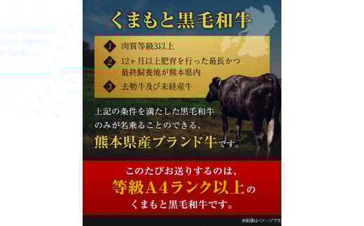 くまもと黒毛和牛 サーロイン リブロース 内モモ 希少部位 500g 牛肉  《30日以内に出荷予定(土日祝除く)》 ---gkt_fkgsrumky_30d_r8_12000_500g---