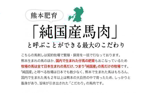 手作りハン馬ーグ 《30日以内に出荷予定(土日祝除く)》 100g×10個 馬肉100%配合！【熊本肥育】---gkt_fkgumburg_30d_r7_12000_10k---