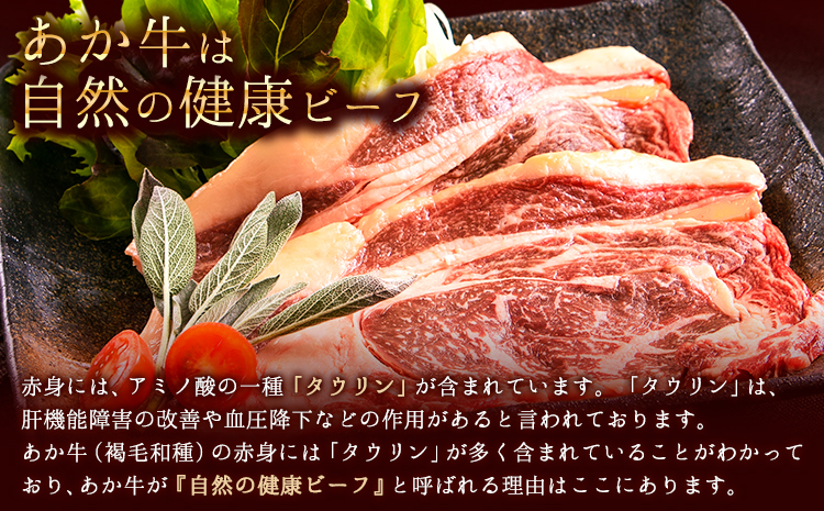 あか牛（褐毛和種）ロースステーキ (リブまたはサーロイン) 250g×2 500g 熊本県産 肉 和牛 牛肉 赤牛 あかうし リブロース サーロイン 冷凍 《2026年1月中旬-3月末頃出荷》送料無料---gkt_fakstk_bc13_r8_15000_500g---