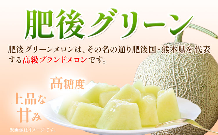 【先行予約】肥後グリーンメロン 2玉 児玉農園 1玉(1.8kg以上)《5月上旬-5月末頃出荷》メロン グリーンメロン 熊本県 玉東町 フルーツ 果物---sg_kdmhg_ac5_r7_14500_2i---