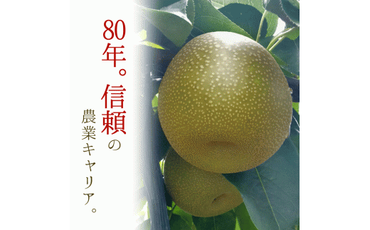 【日付指定不可】『松田農園』のくまもと梨約5kg 8-18玉前後  『松田農園』なし《7月下旬-9月末頃出荷》  果物 スイーツ---sg_cmatsunashi_cf79_r7_16000_5kg---
