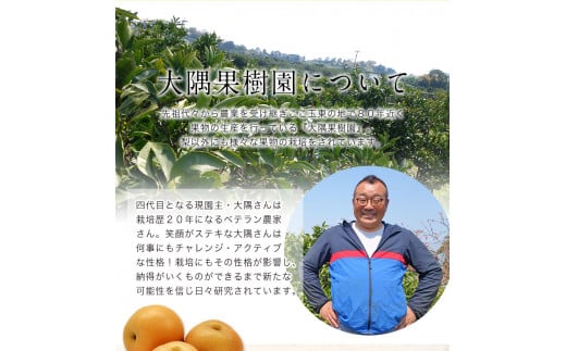 大隅果樹園の玉東梨(旬の品種をお届けします) 約5kg(13-20玉前後)   《8月中旬-9月上旬頃出荷》---sg_coosuminasi_g8_r7_13000_5kg---