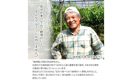 『緑伸園』旬の梨(旬の品種をお届けします！) 《8月中旬-9月下旬頃出荷》 約5kg 6-13玉前後入り 果物---sg_cryokunashi_k8_r7_14000_5kg---