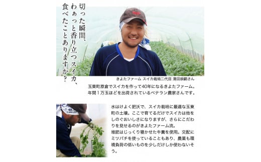 【先行予約】『きよたファーム』のすいか 1玉約8～10kg 熊本県玉名郡玉東町『きよたファーム』すいか フルーツ 《2026年5月下旬-6月下旬頃出荷》---sg_kfsuika_p5_r7_13500_1p---