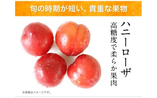 ハニーローザアイスクリーム＆ハニーローザシャーベット120ml×4個《60日以内に出荷予定(土日祝除く)》ぷらっとぎょくとう---sg_fhroicesha_60d_26_14500_8p---