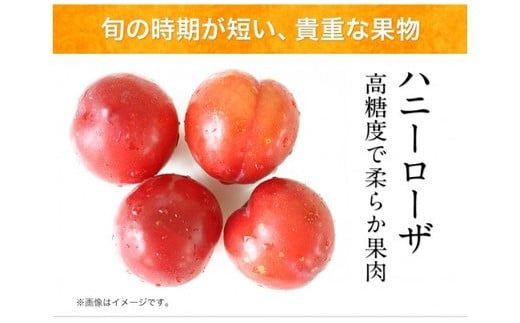 糖度17度の甘さ♪ハニーローザアイスクリーム 120ml×8個 《60日以内に出荷予定(土日祝除く)》  ぷらっとぎょくとう---sg_fhoneyrosa_60d_26_14500_8p---
