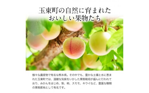 コンフィチュールセット 【ハニーローザ】【イチゴ(ゆうべに)】《60日以内に出荷予定(土日祝除く)》  ぷらっとぎょくとう---sg_gytjam_60d_26_10500_3set---