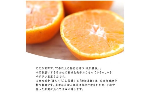 熊本県玉東町産限定『坂田農園』のみかん 大容量 約10kg(2S-Lサイズ)《10月上旬-1月末頃出荷》秋 ジャム ゼリー ---sg_sktsmk_af101_25_13500_10kg---