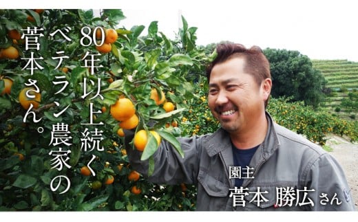 『菅本果実園』のみかん約3kg(2S-Lサイズ)  全国にファン多数！菅本さんのみかん《11月中旬-12月末頃出荷》---sg_sugamikan_bc11_25_10500_3kg---