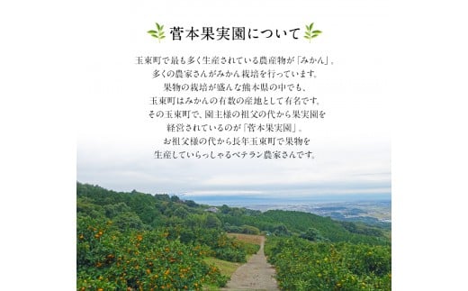 ご家庭用『菅本果実園』のご家庭用みかん約5kg(2S-2Lサイズ)《11月中旬-12月末頃出荷》 菅本さんのみかん♪---sg_wsugamikan_bc11_25_7000_5kg---