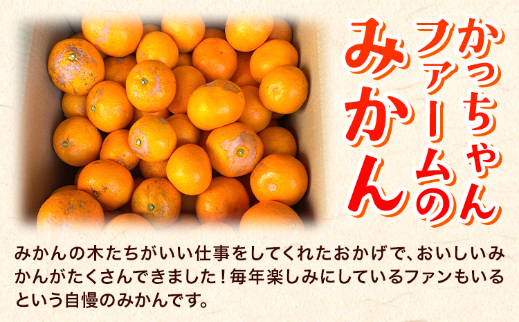 ご家庭用『かっちゃんファーム』のご家庭用みかん★ 約10kg【2S-2Lサイズ(大小サイズ混合)】 自然本来のおいしさ！《1月上旬-1月末頃出荷》---sg_kmkn2s2l_ac1_25_10000_10kg---