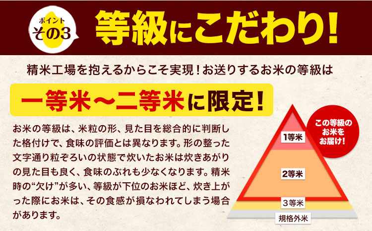 新米 令和7年産 白米 ひのひかり 5kg《7-14日以内に出荷予定(土日祝除く)》コメ 米 白米 令和7年産 高レビュー｜人気米 熊本県産米 お米 生活応援米---gkt_hn7_wx_11500_5kg_h---
