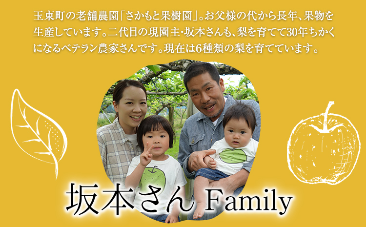 さかもと果樹園の玉東梨 甘太梨 約5kg (6玉-18玉前後) 《9月中旬-9月下旬頃出荷》【日付指定・品種指定不可】 熊本県玉名郡玉東町 梨 なし 果物 フルーツ 甘太---sg_cskknt_b9_r8_15500_5kg---
