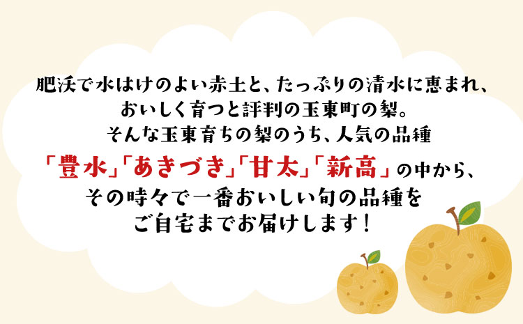 ゆみちゃん農園の玉東梨 甘太梨 約3kg(3～10玉前後) 《2026年8月下旬-10月上旬頃出荷》  梨 なし 果物 フルーツ---sg_cyumikanta_l810_r8_13000_3kg---