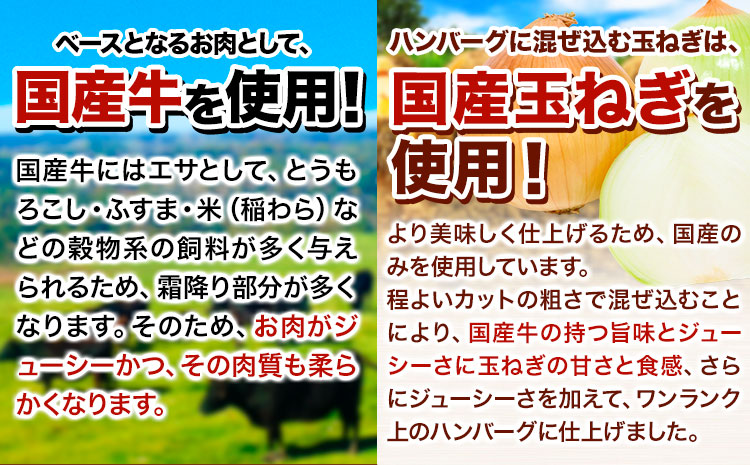 ハンバーグ 15個 国産のお肉使用！ 鶏肉不使用 温めるだけ 「通の贅沢ハンバーグ」濃厚デミグラスソース《11月上旬-11月末頃出荷》 牛 訳あり 小分け 早く届く---gkt_fuhg_ac11_r7_12500_15i_nd---