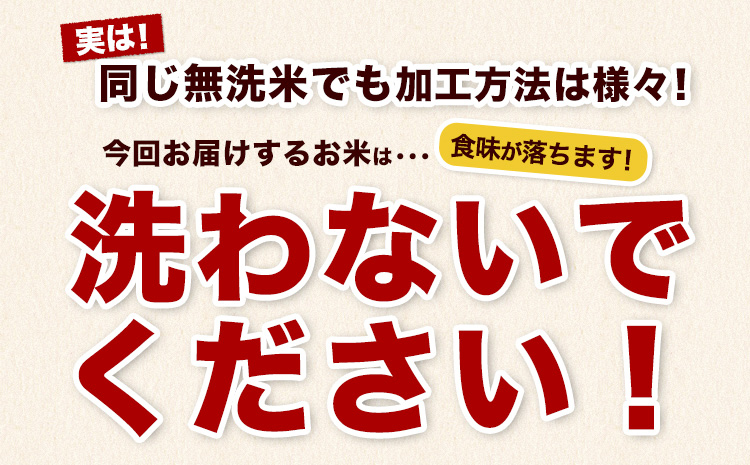 【12ヶ月定期便】熊本県産 さとほまれ 無洗米 ご家庭用 定期便 20kg 《お申込み翌月から出荷》熊本県 玉名郡 玉東町 米 こめ コメ ブレンド米 送料無料---gkt_sthmltei_20kg_510000_mo12---