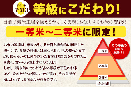令和7年産 特A受賞品種 無洗米 ひのひかり 無洗米 森のくまさん 計10kg 食べ比べ 厳選お楽しみセット 熊本県産 玉東町産含む 5kg×2袋 無洗米 精米 玉東町 森くま 10kg《7-14日以内に出荷予定(土日祝除く)》ブランド米---gkt_hm7_wx_23000_10kg---