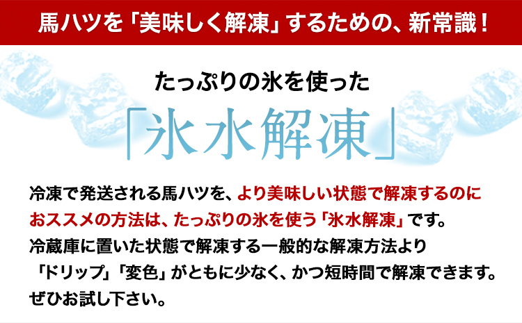 馬ハツ刺し ブロック 50g×6ブロック 300g 馬ハツ(心臓) 国産  たれ付 《2026年6月中旬-9月中旬頃出荷予定》---gkt_fkghatsu_q69_12000_300g---