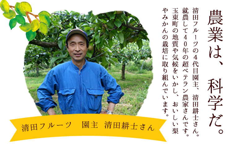 清田フルーツの豊水梨 約5kg(12-20玉前後) 《8月中旬-8月末頃出荷》  梨 なし 果物 フルーツ---sg_ckiyofruit_j8_r7_13500_5kg---