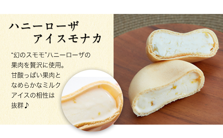 ぎょくとうセレクトアイスバラエティーセット  アイス モナカ ぷらっとぎょくとう《60日以内に出荷予定(土日祝除く)》---sg_fgkticevari_60d_26_19000---